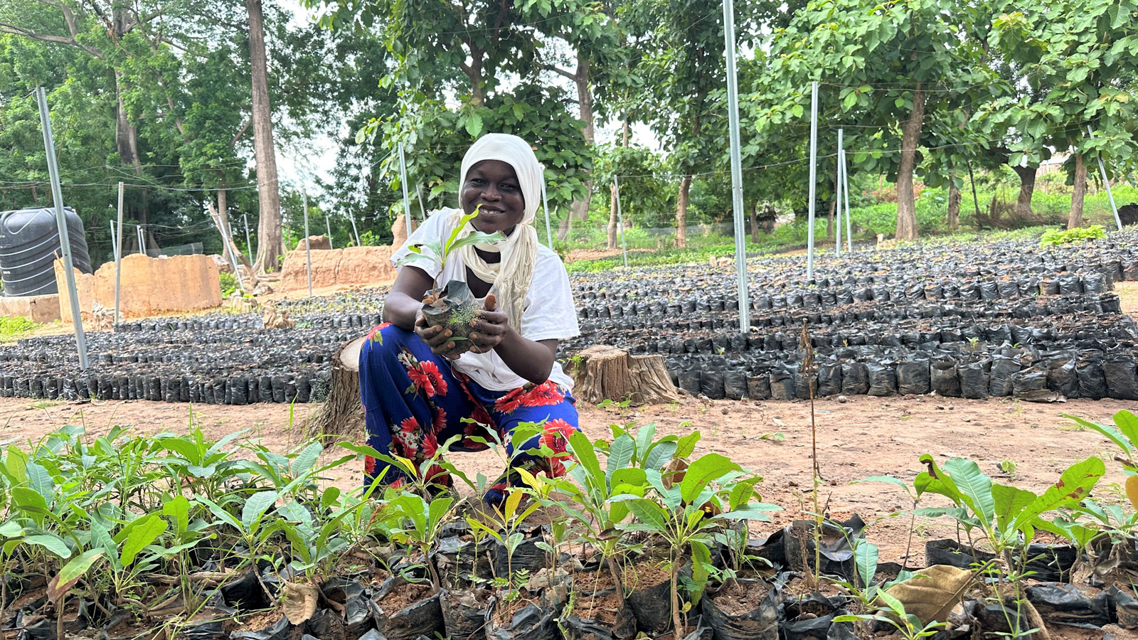 Developing Communities